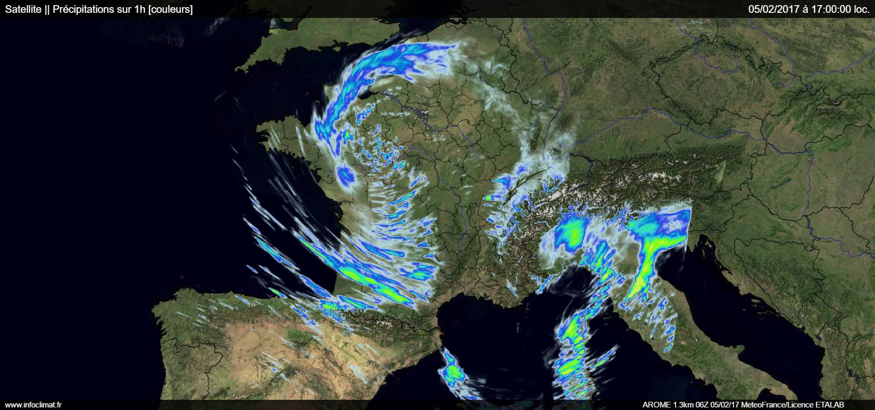 Cafards dans le 6-8! - Nature et paysages - Les Forums d'Infoclimat