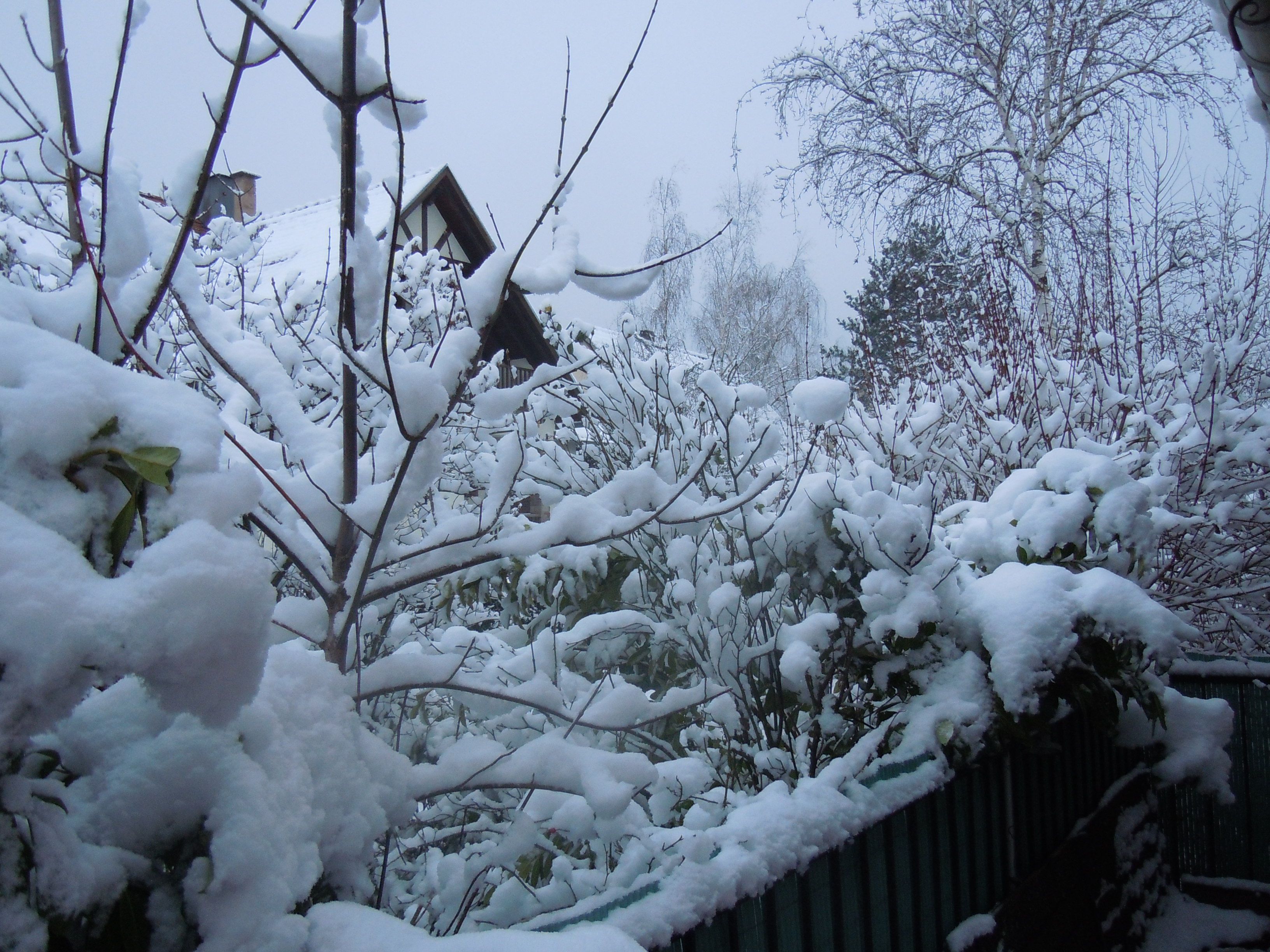 neige-05-fevrier-015.jpg