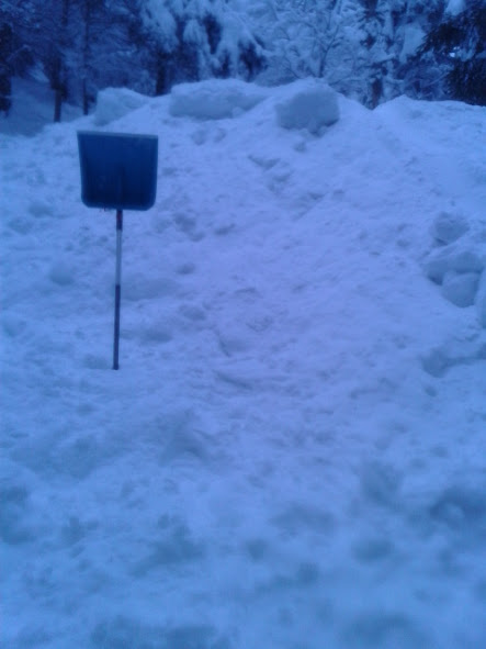 2013-02-23-17.jpg