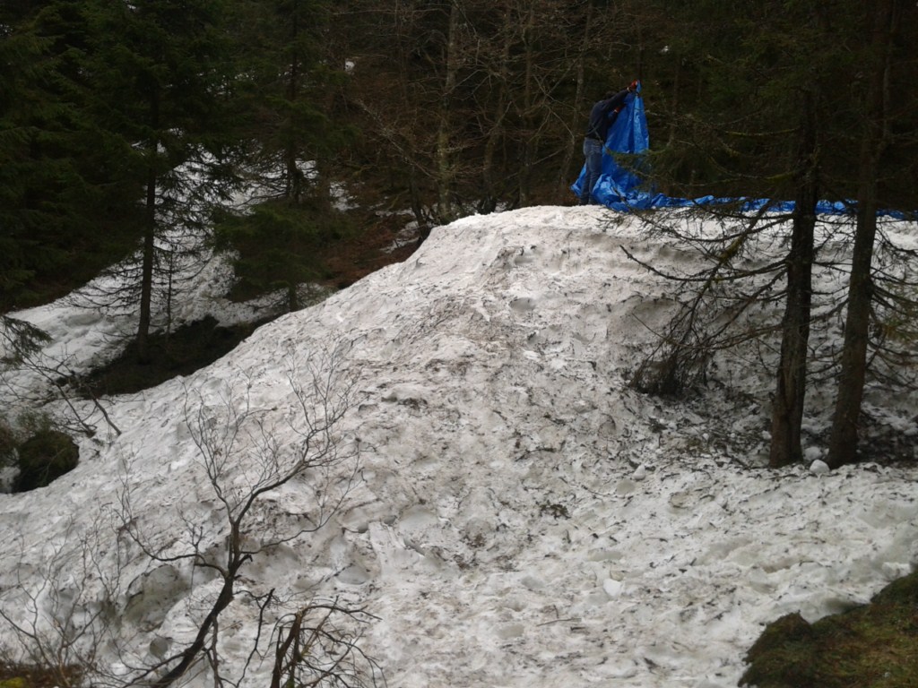 513643eb8c670_2012-04-07-18.jpg