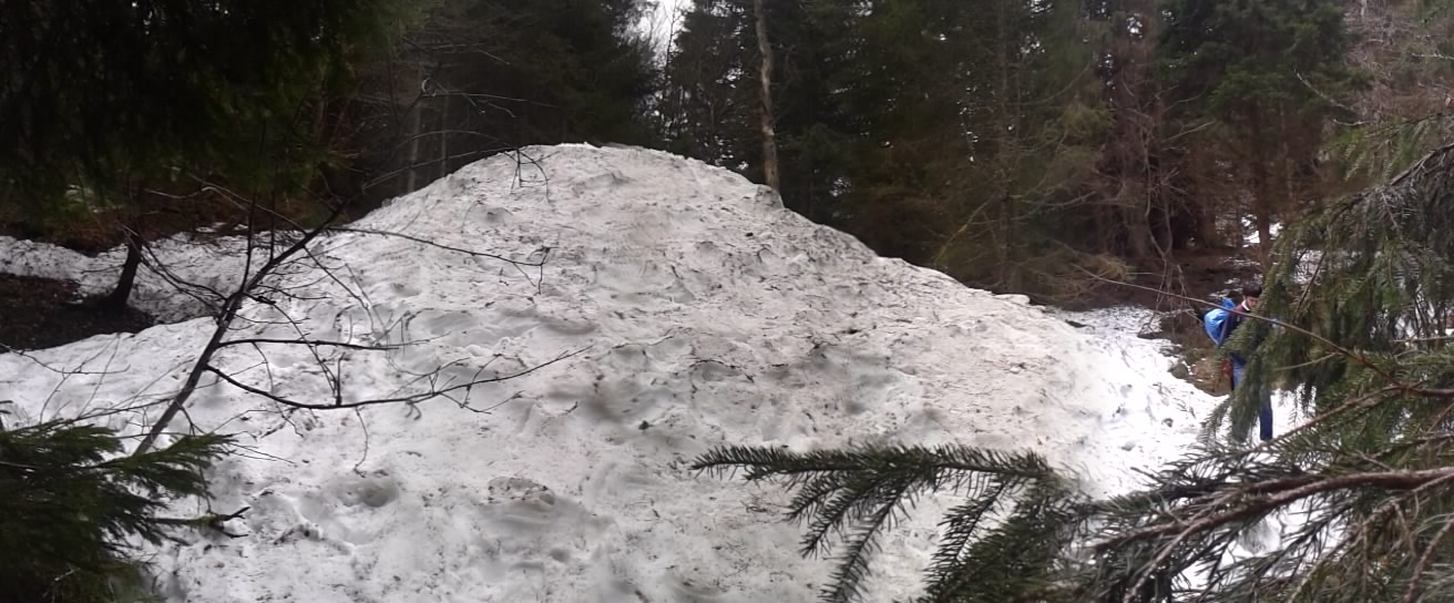 51364433e3722_2012-04-07-18.jpg