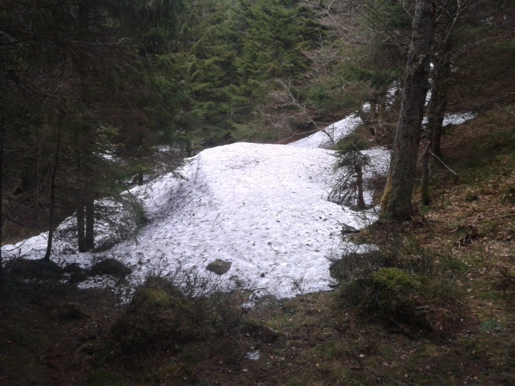 513647f57bbb8_2012-04-07-14.jpg