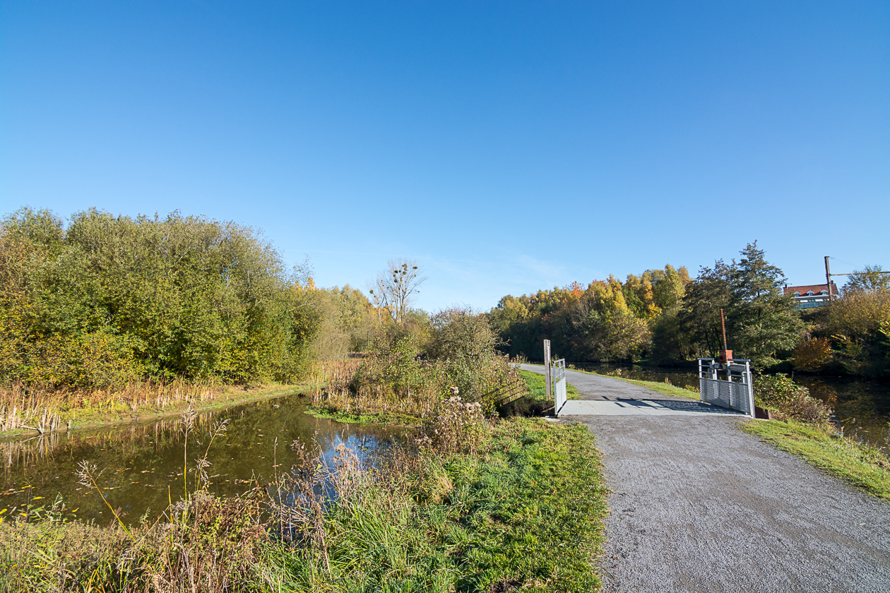 dsc1597-2.jpg