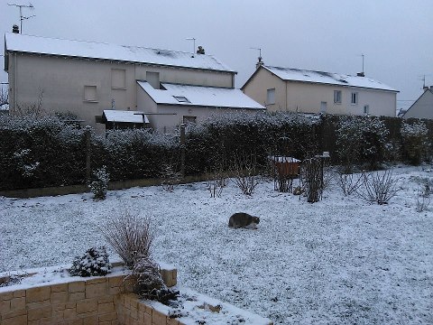130209a-amboise-neige.jpg