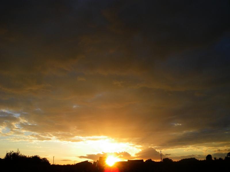 65520090920102006.jpg