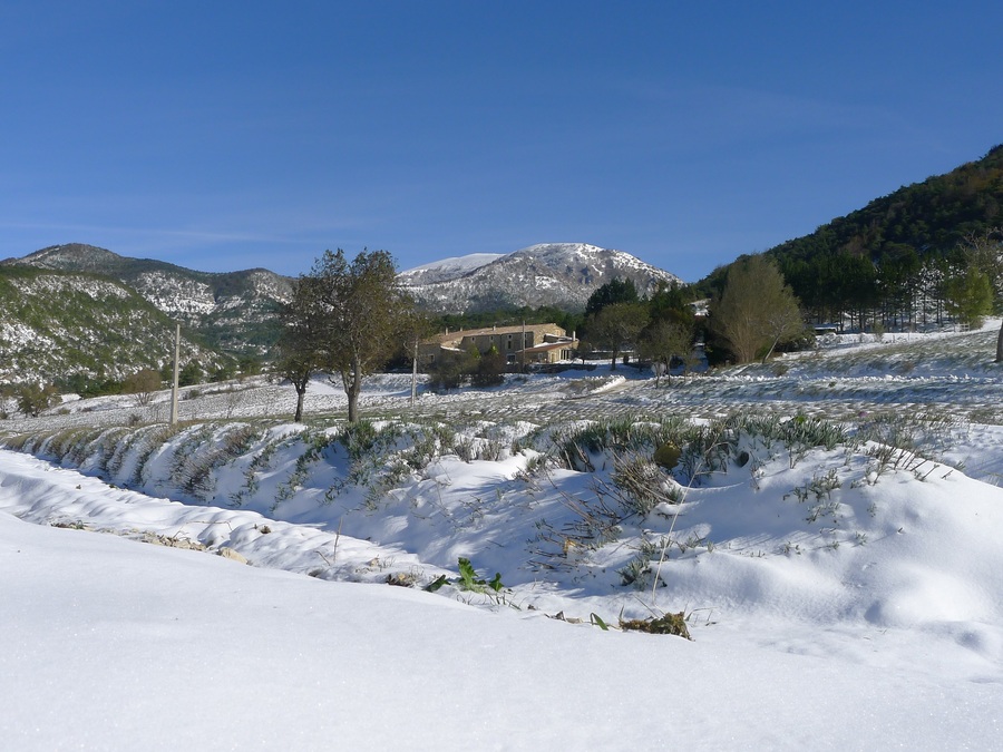 Neige en Drôme provençale Photolive, toutes les photos météo en temps réel Infoclimat