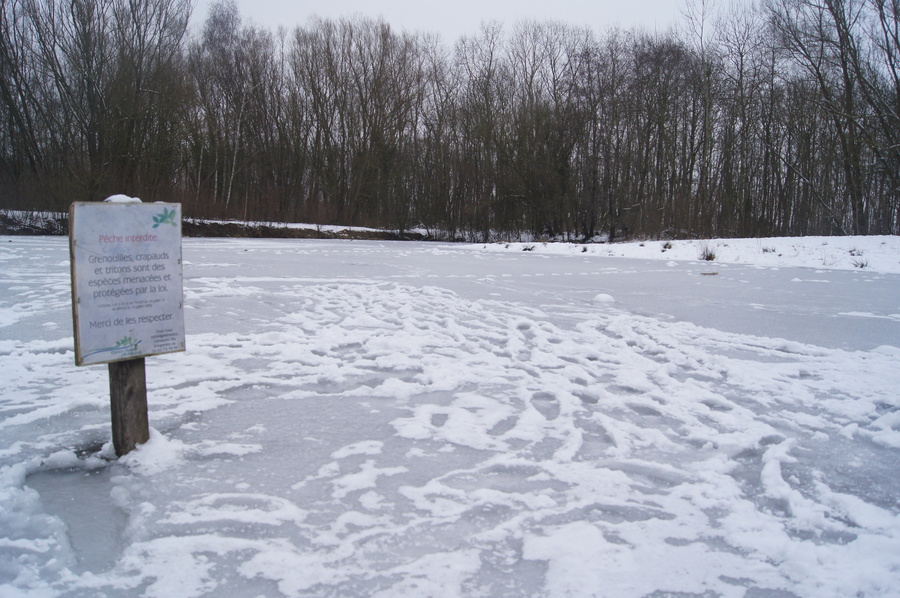 Lac pris par les glaces