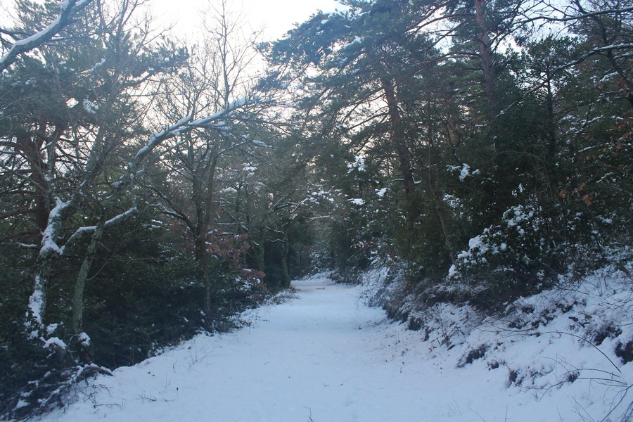 La SainteBaume sous la neige ! Photolive, toutes les photos météo en