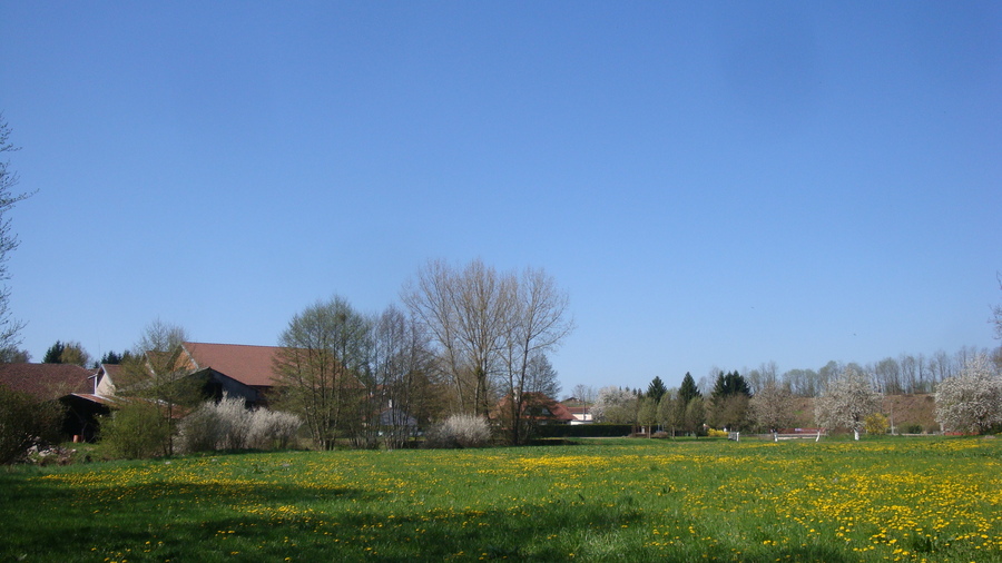 Tout bleu..