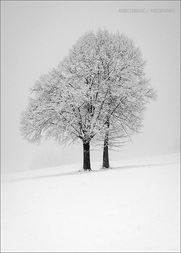 PhotoLive, la météo en photos, en temps réel.