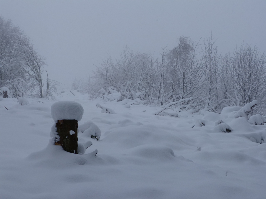 Crte de Montivert, 30 cm de neige