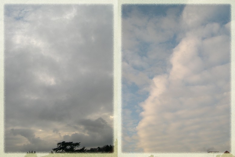 PhotoLive, la météo en photos, en temps réel.