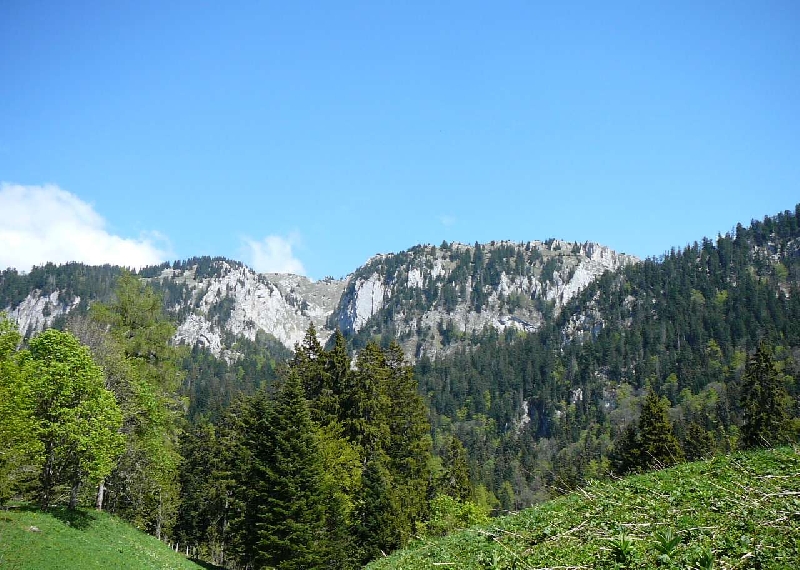 PhotoLive, la m&eacute;t&eacute;o en photos, en temps r&eacute;el.