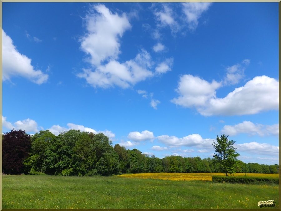 PhotoLive, la m&eacute;t&eacute;o en photos, en temps r&eacute;el.