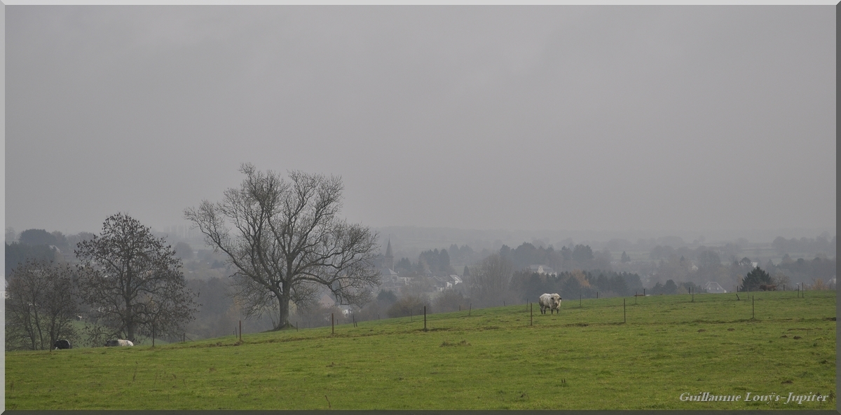 PhotoLive, la météo en photos, en temps réel.