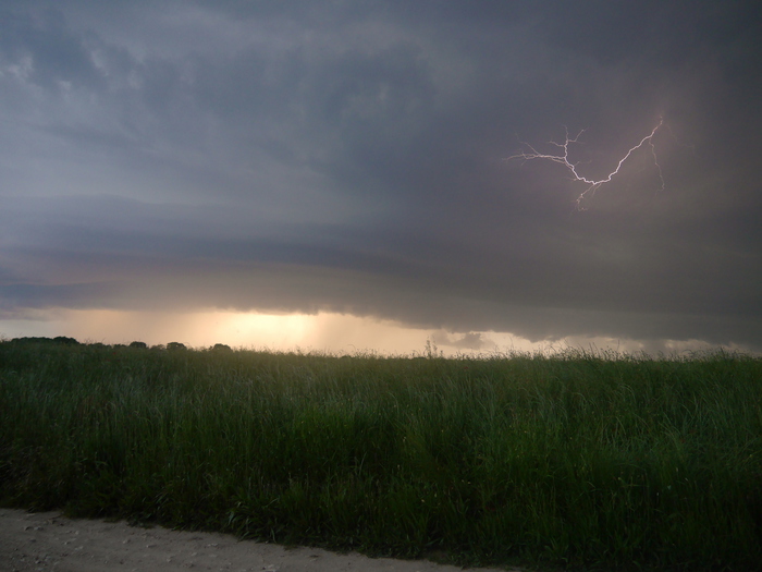 PhotoLive, la météo en photos, en temps réel.