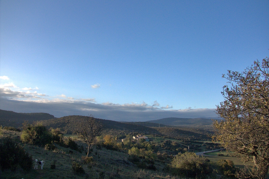 PhotoLive, la météo en photos, en temps réel.