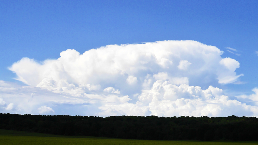 PhotoLive, la météo en photos, en temps réel.