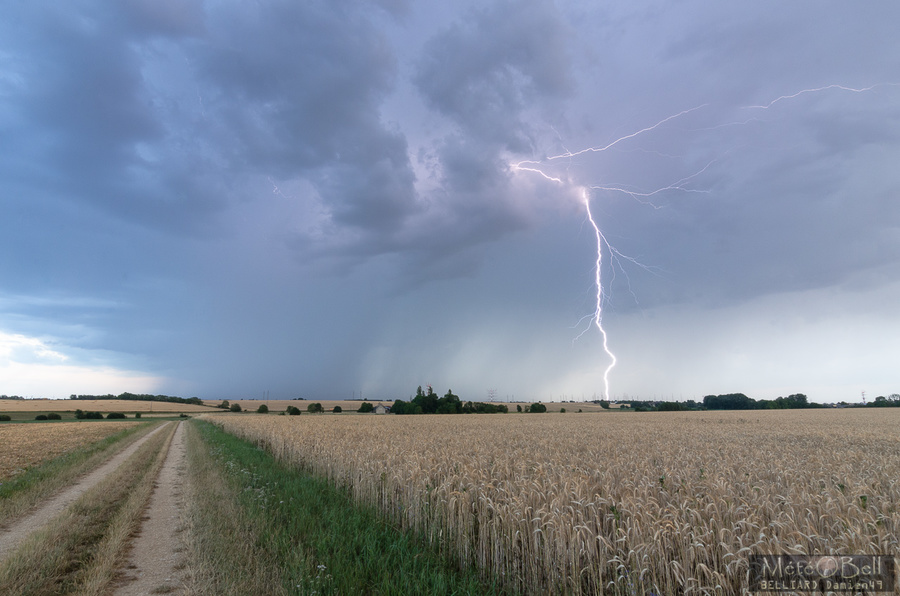 PhotoLive, la météo en photos, en temps réel.