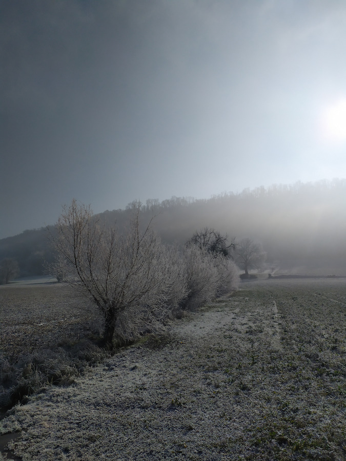 PhotoLive, la météo en photos, en temps réel.