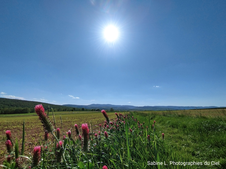 PhotoLive, la météo en photos, en temps réel.