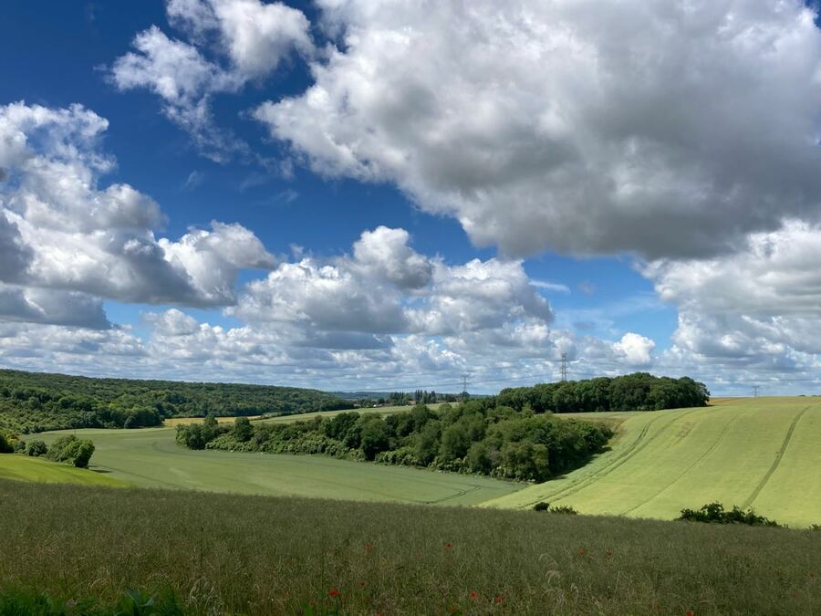 PhotoLive, la météo en photos, en temps réel.