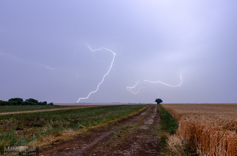 PhotoLive, la météo en photos, en temps réel.