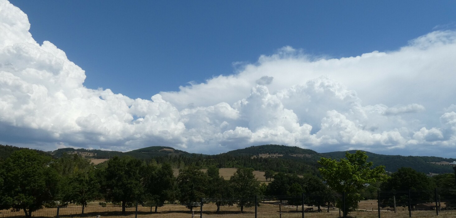PhotoLive, la météo en photos, en temps réel.