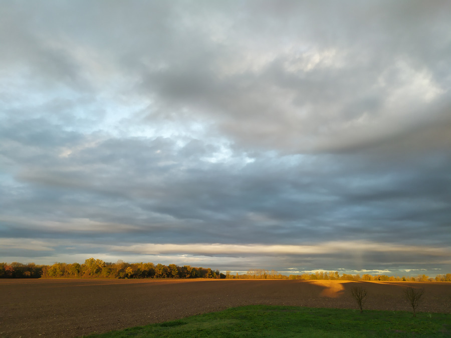 PhotoLive, la météo en photos, en temps réel.