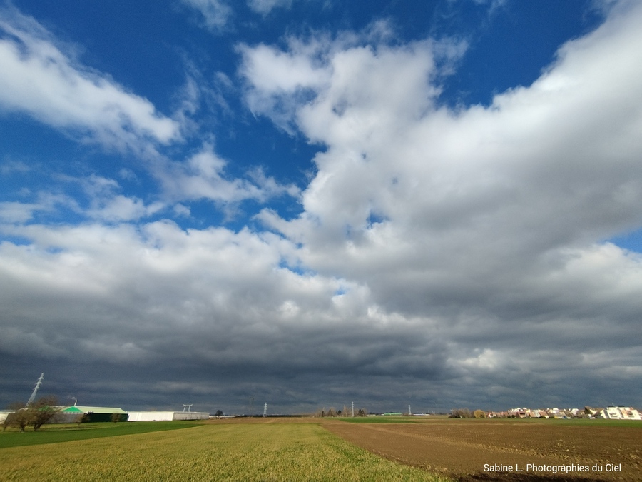 PhotoLive, la météo en photos, en temps réel.