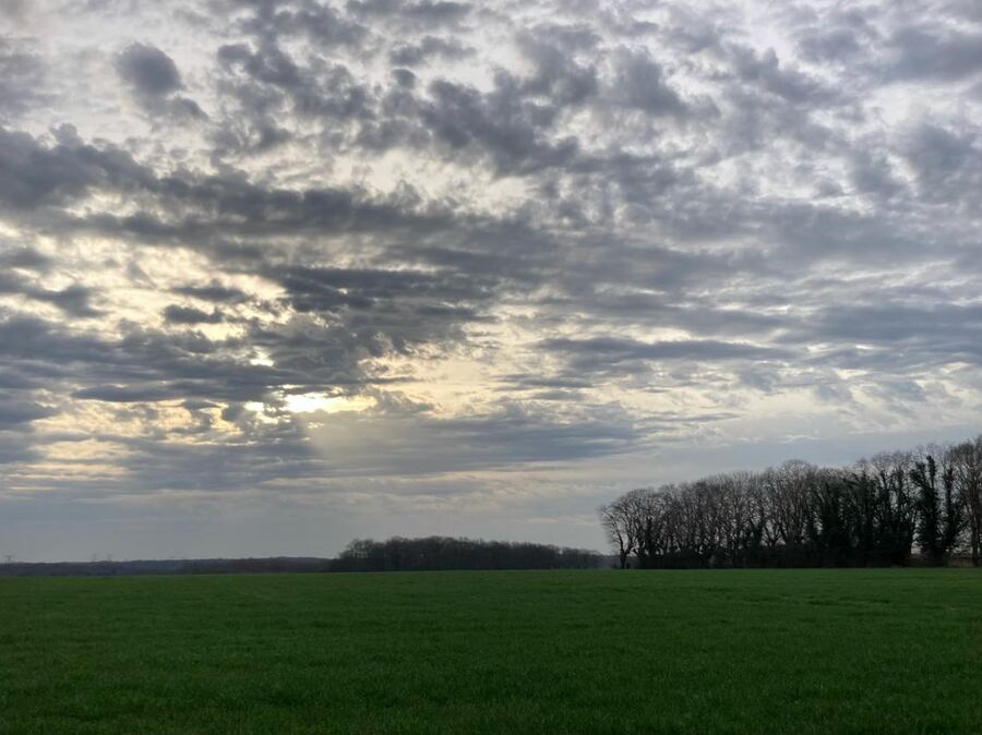 PhotoLive, la météo en photos, en temps réel.