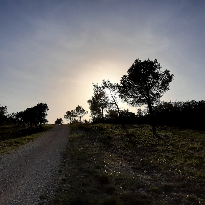 PhotoLive, la météo en photos, en temps réel.