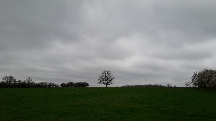 PhotoLive, la météo en photos, en temps réel.
