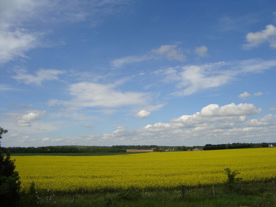 PhotoLive, la météo en photos, en temps réel.
