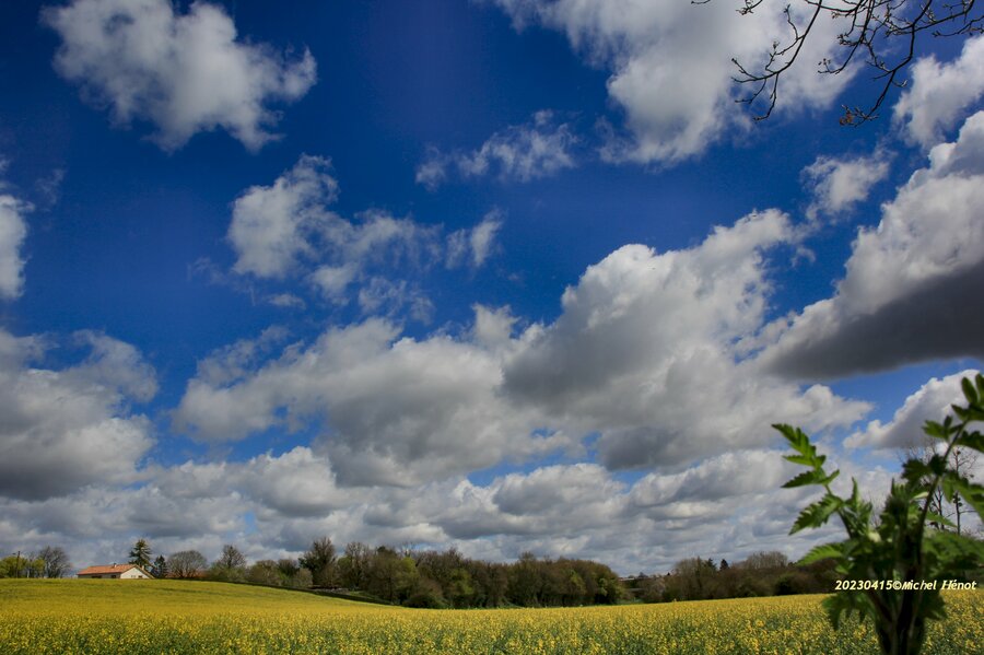 PhotoLive, la météo en photos, en temps réel.