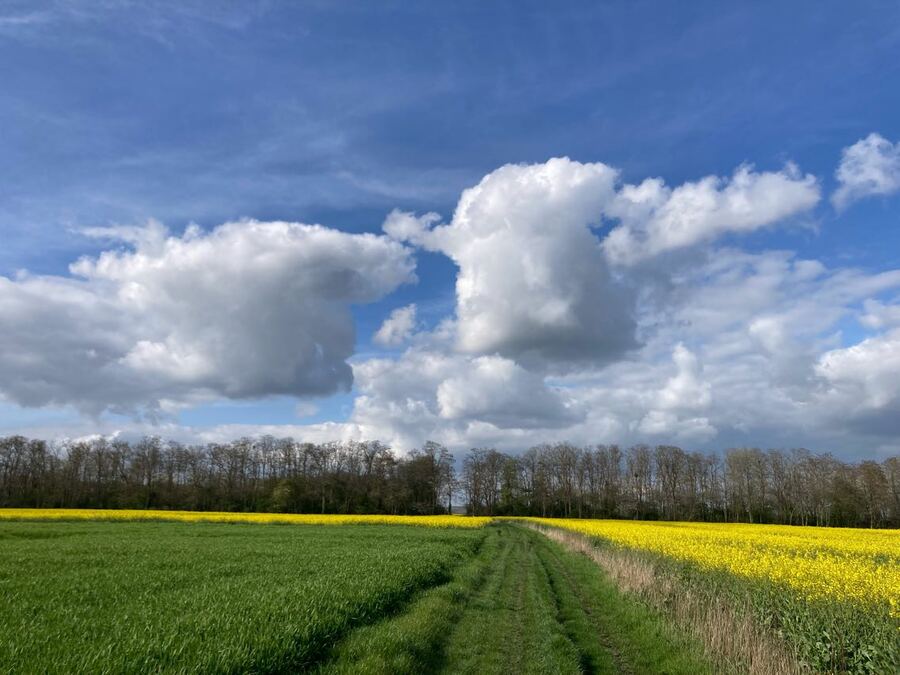 PhotoLive, la météo en photos, en temps réel.