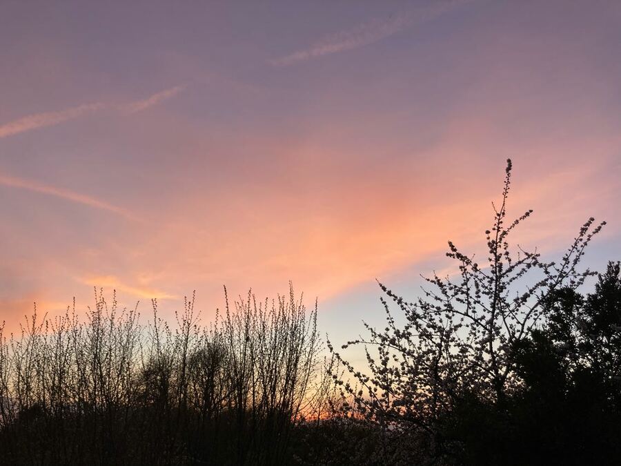 PhotoLive, la météo en photos, en temps réel.
