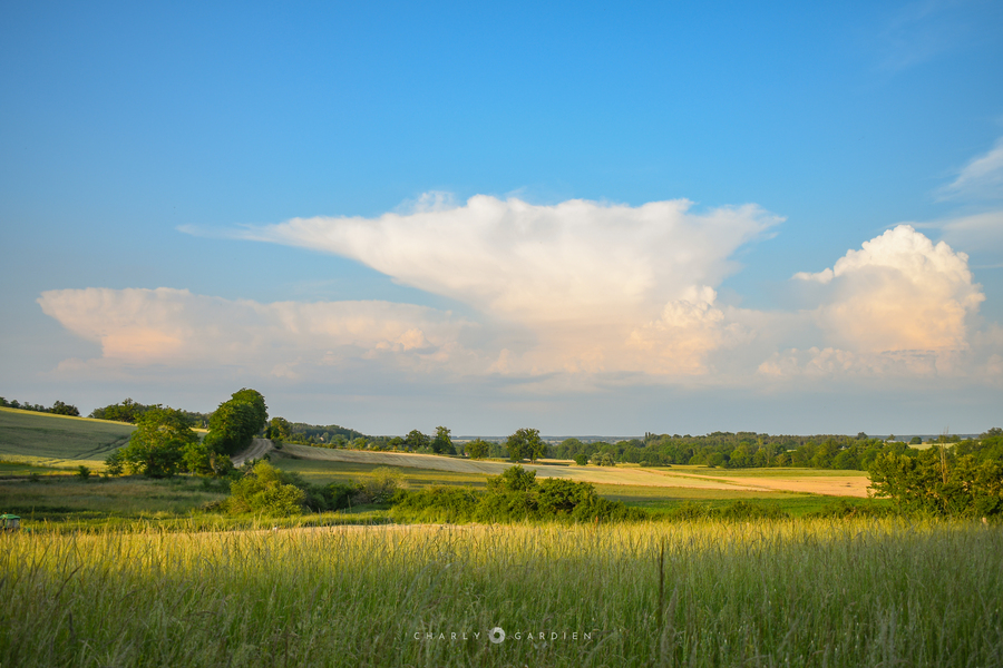 PhotoLive, la météo en photos, en temps réel.