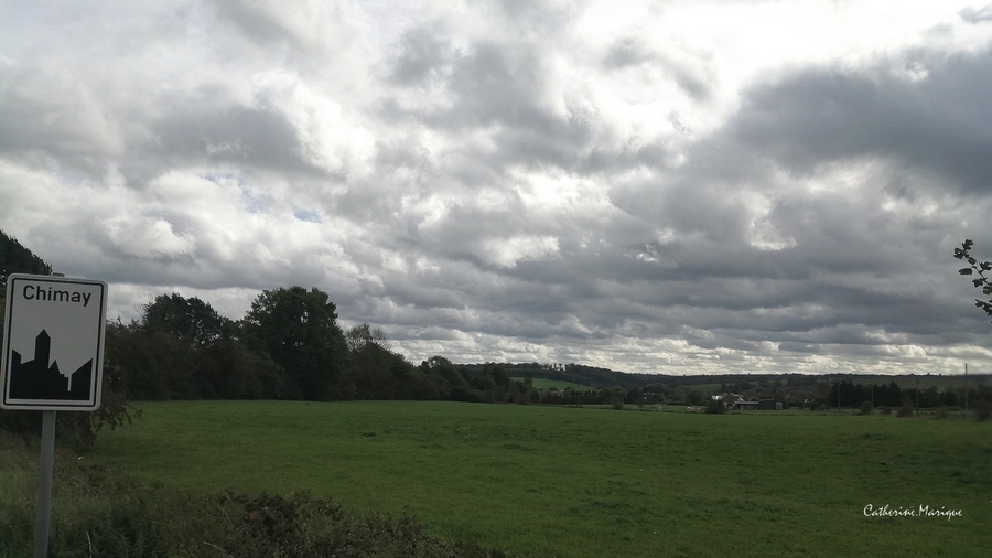 PhotoLive, la météo en photos, en temps réel.