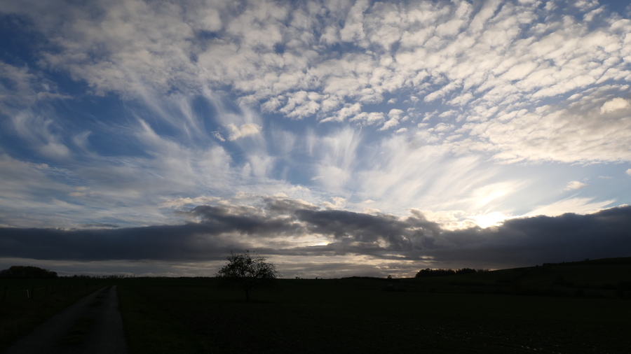 PhotoLive, la météo en photos, en temps réel.