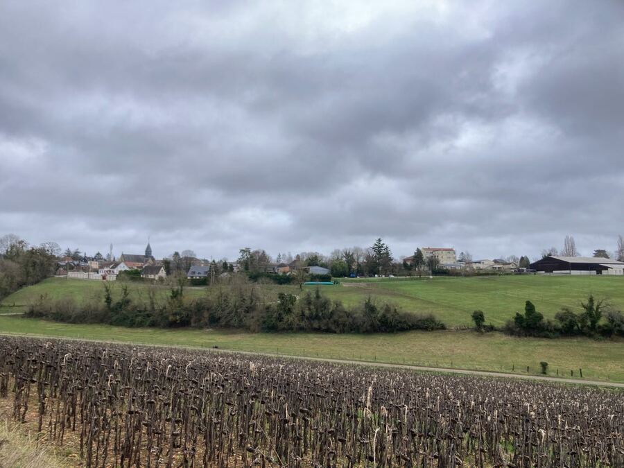 PhotoLive, la météo en photos, en temps réel.