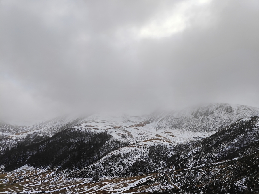 PhotoLive, la météo en photos, en temps réel.