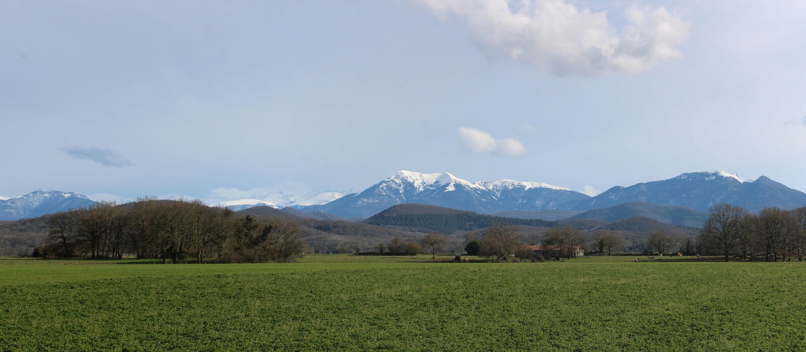 PhotoLive, la météo en photos, en temps réel.