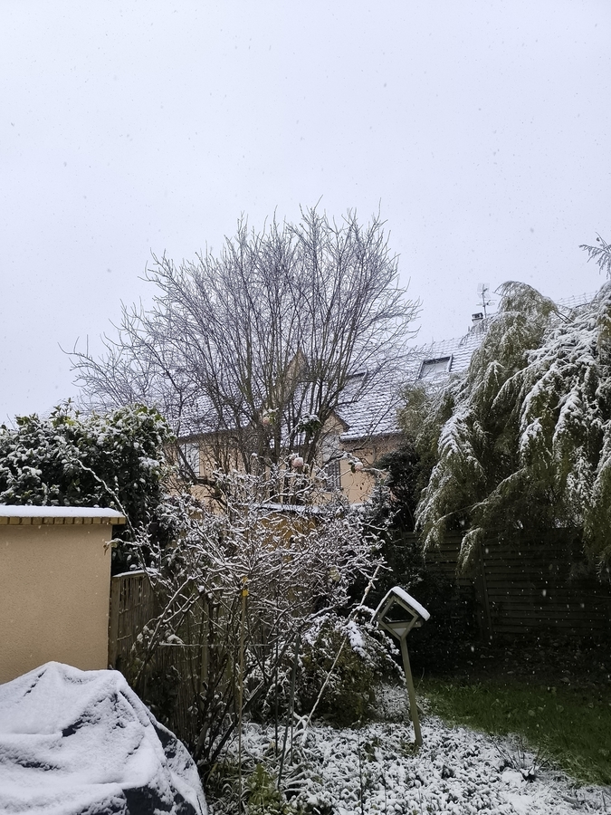 PhotoLive, la météo en photos, en temps réel.