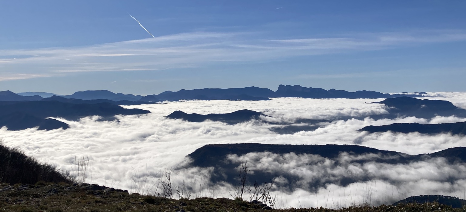 PhotoLive, la météo en photos, en temps réel.