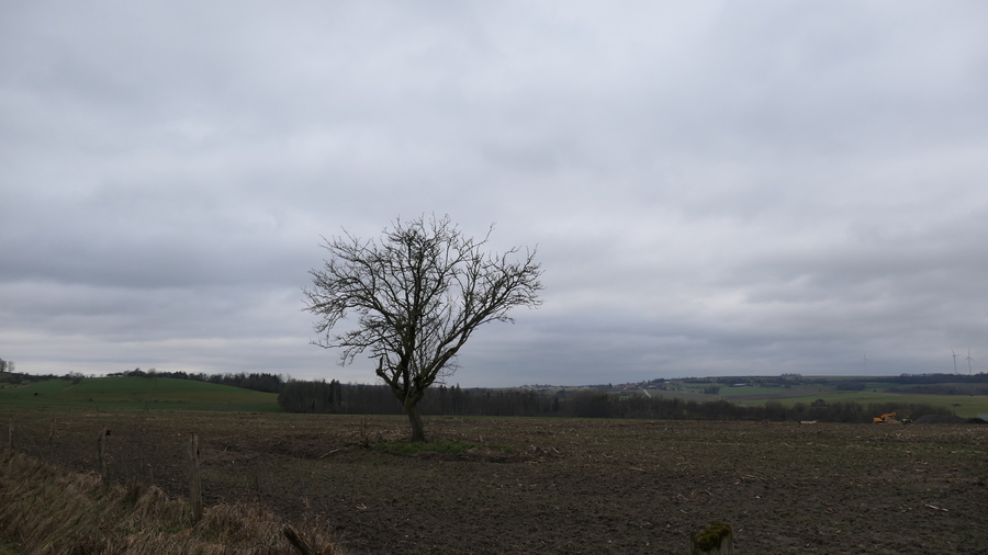PhotoLive, la météo en photos, en temps réel.