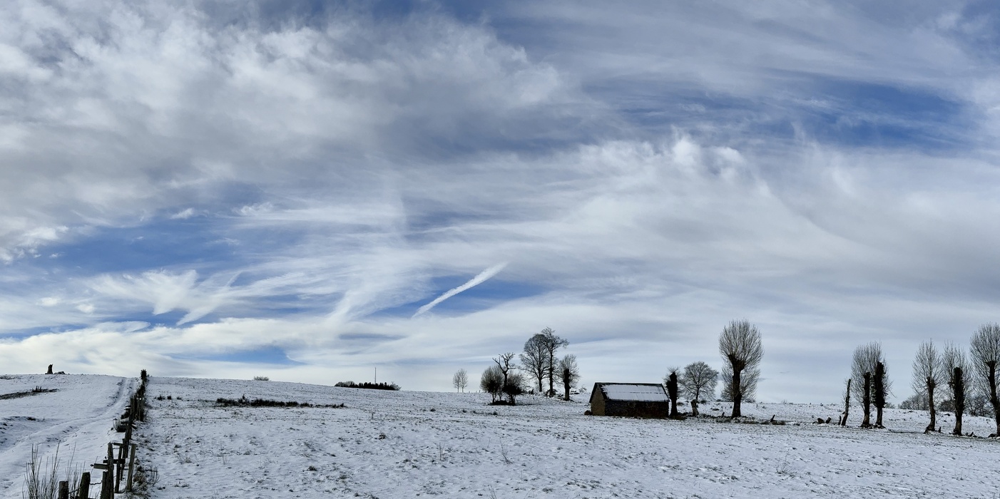 PhotoLive, la météo en photos, en temps réel.