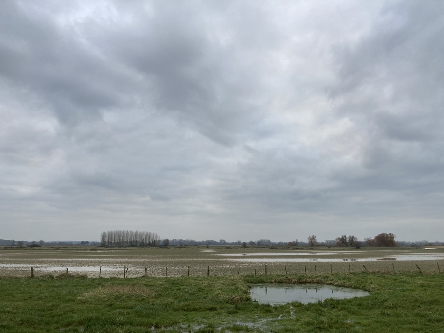 PhotoLive, la météo en photos, en temps réel.