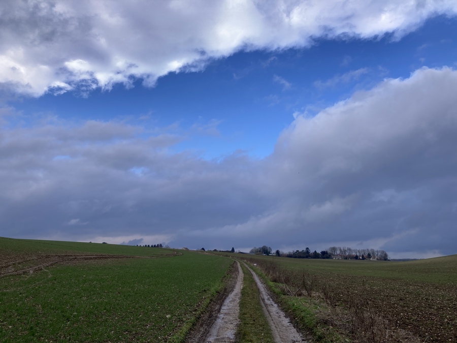 PhotoLive, la météo en photos, en temps réel.