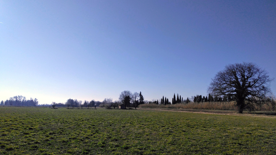 PhotoLive, la météo en photos, en temps réel.